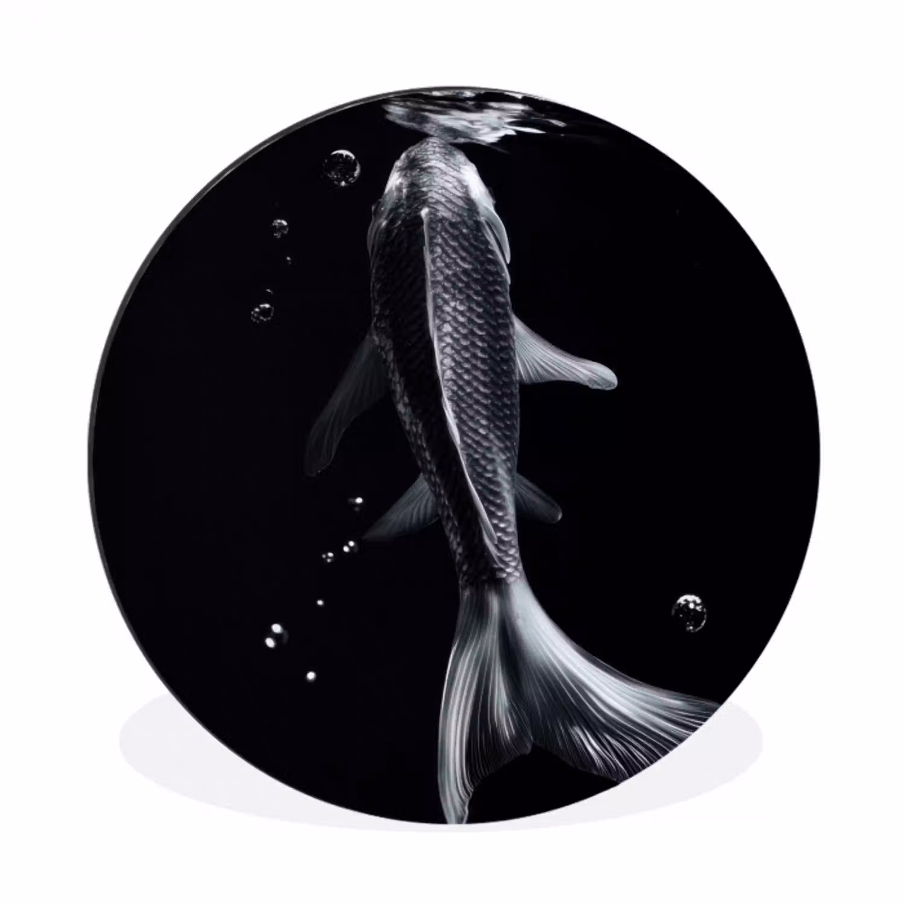 Koi - Vissen - Water - Zwart Wandcirkel aluminium klein -3d