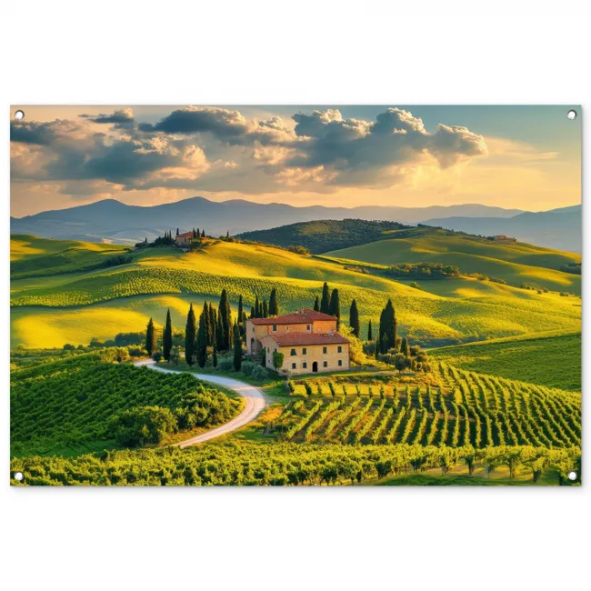 Gartenposter - Toskana - Landschaft - Weinberge