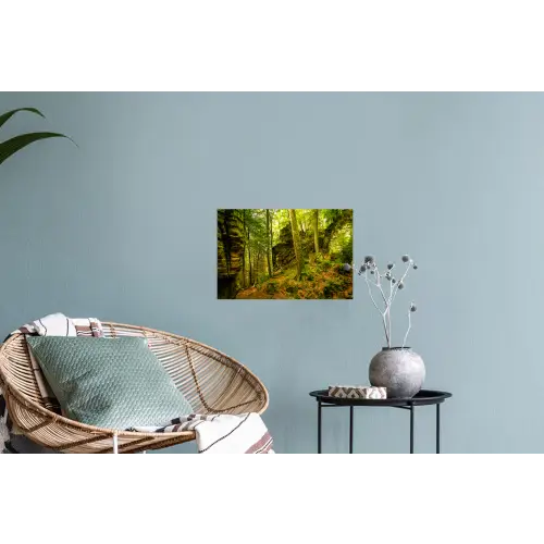 Bomen - Steen - Bos - Natuur Muursticker klein -plant