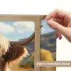 Schotse hooglander - Dieren portret - Natuur - Dier Light Box met batterij (Wandlamp) middel -USP_websiteprintNL