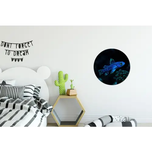 Vis - Stippen - Koraal - Blauw Wandcirkel aluminium klein -kinderkamer