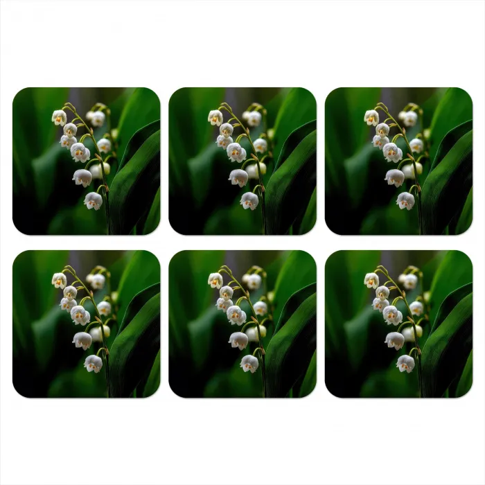 Bloemen - Wit - Bladeren - Lelietjes onderzetter kurk middel -3d
