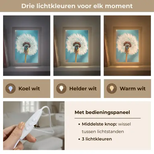 Paardenbloem - Natuur - Bloemen - Blauw Light Box met kabel (Tafellamp) klein -USP_lichtkleurNL