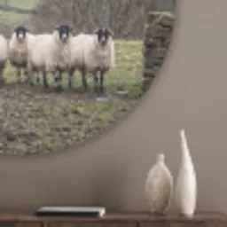 Schapen - Rij - Weide - Dieren - Platteland Akoestische PET Vilt - Rond klein -sfeer5_closeup