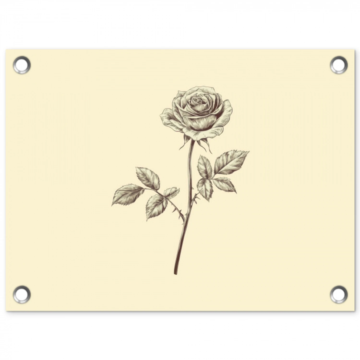 Illustratie - Zwart - Roos tuinposter los doek klein -3d