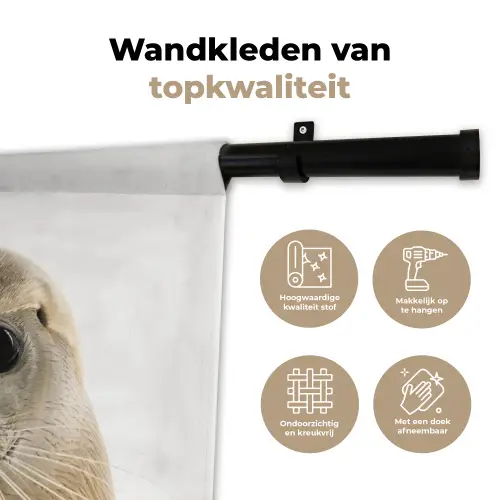 Jongens - Zeehond - Kinderen - Meisjes - Dieren Wandkleed katoen klein -sfeer2