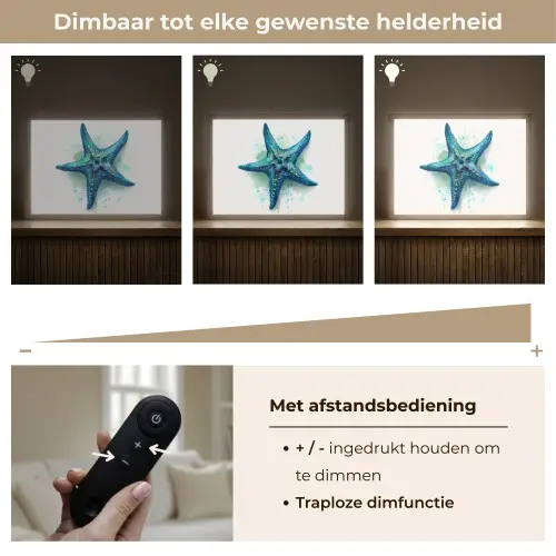 Zeester - Blauw - Spetters Light Box met batterij (Wandlamp kind) middel -USP_dimbaarNL