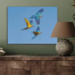 Papagaai - Vliegen - Blauw - Geel PET vilt klein -sfeer2
