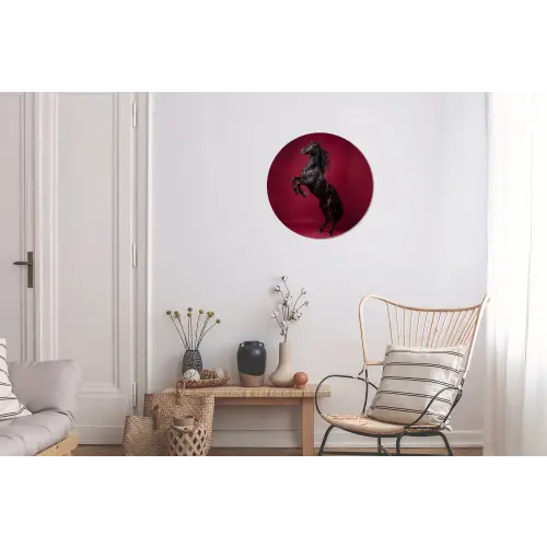 Hengst - Steigert - Rood Wandcirkel aluminium klein -woonkamer