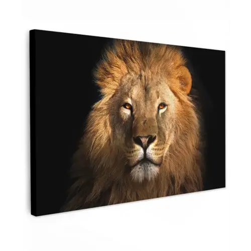 Leeuw - Dieren - Zwart - Licht - Bruin - Portret canvas 2cm klein -z3d