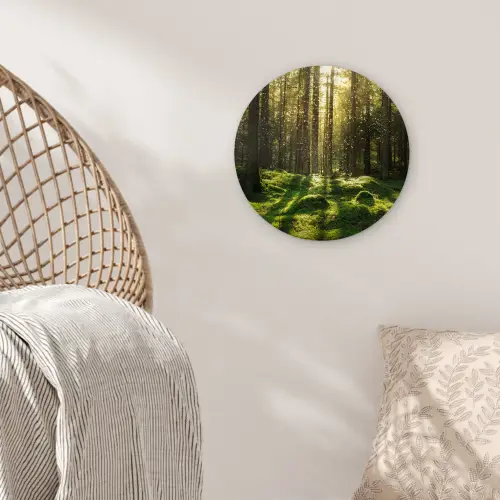 Bomen - Bos - Mos - Planten - Zon - Natuur Wandcirkel kunststof plaat 5mm dik klein -sfeer5