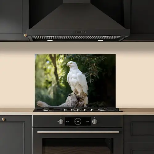 Arend - Hout - Wit - Planten keuken achterwand spatscherm klein -sfeer1