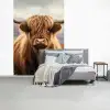 Schotse hooglander - Landschap - Dier fotobehang vinyl groot -slaapkamer