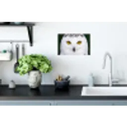 Sneeuwuil - Portret - Geel Muursticker klein -keuken