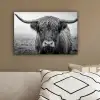 Schotse hooglander - Zwart - Wit - Gras canvas 2cm klein -sfeer3
