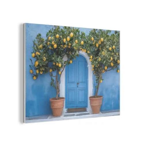 Citroenbomen - Geel - Deur - Potten PET vilt klein -3d