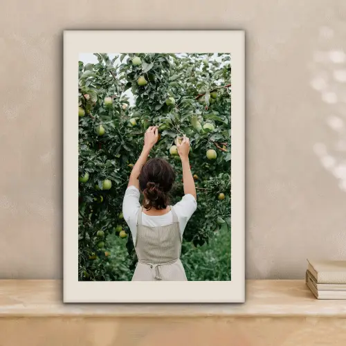 Boom - Appels - Plukken - Natuur canvas 2cm klein -sfeer1