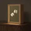 Takken - Katoen - Wit - Bollen Light Box met kabel (Tafellamp) klein -z3d_website