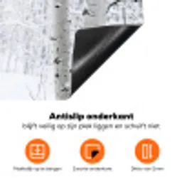Berkenbomen - Sneeuw - Winter - Bos - Wit Inductie beschermer vinyl 3mm klein -zzzzzzz-td-onderkant