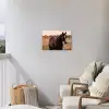 Paard - Zonsondergang - Bruin Tuinposter op houten frame 2 cm dik klein -sfeer1