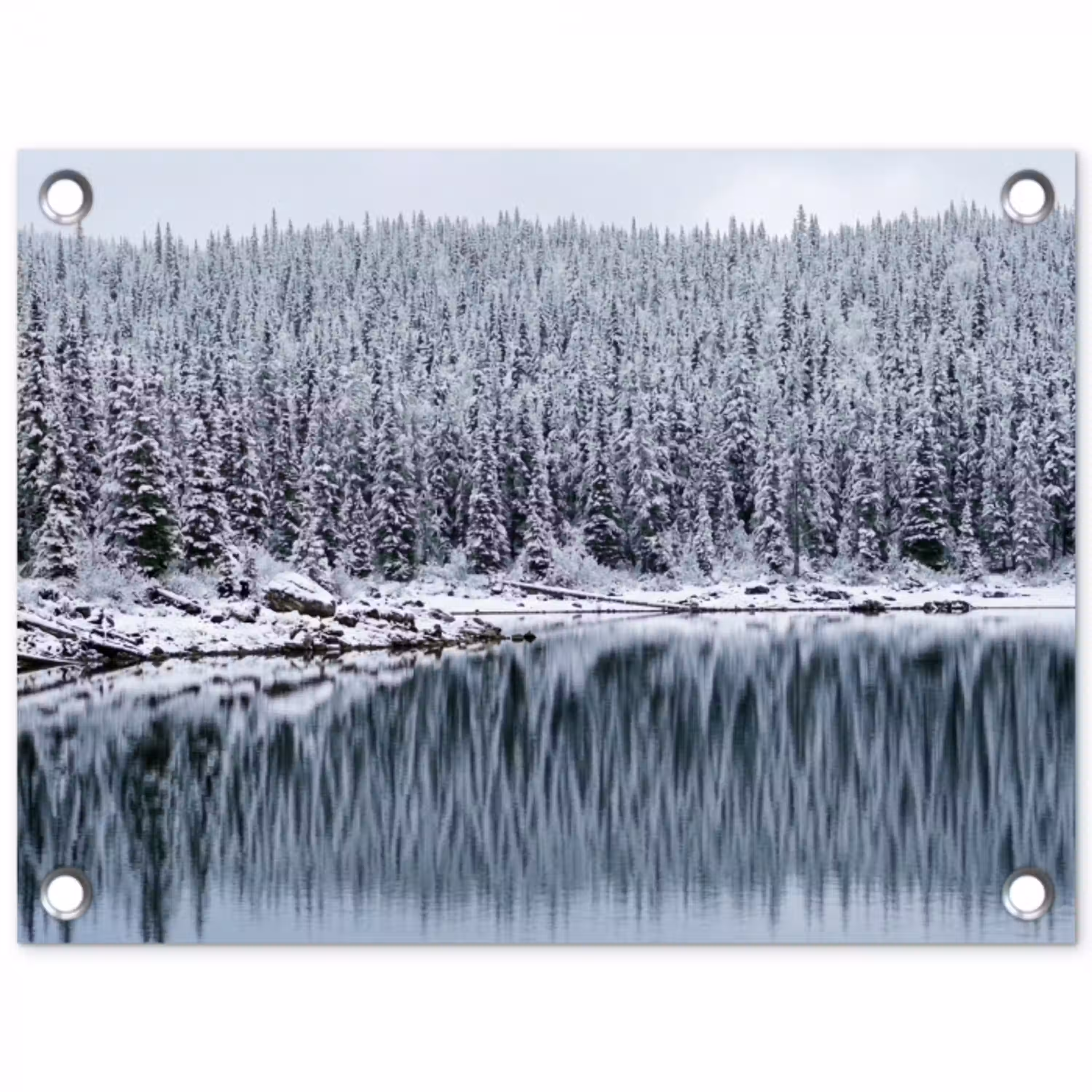 Bos - Reflectie - Meer - Winter - Serene tuinposter los doek klein -3d