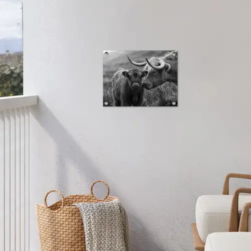 Schotse hooglander - Kalf - Zwart - Wit tuinposter los doek klein -sfeer8