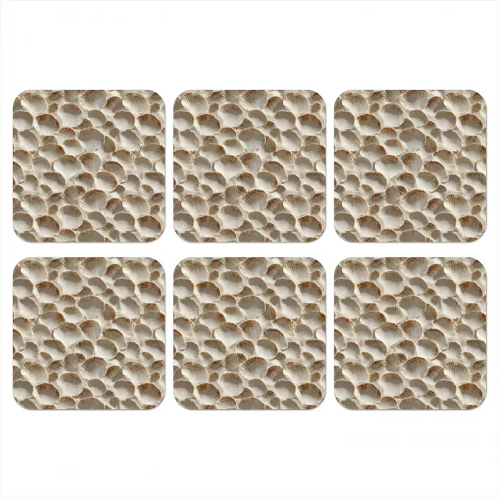 Schelpen - Waaiervorm - Wit onderzetter kurk middel 366 -3d