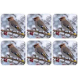 Pestvogel - Bessen - Winter - Natuur onderzetter kurk middel -zkaufland3dotto