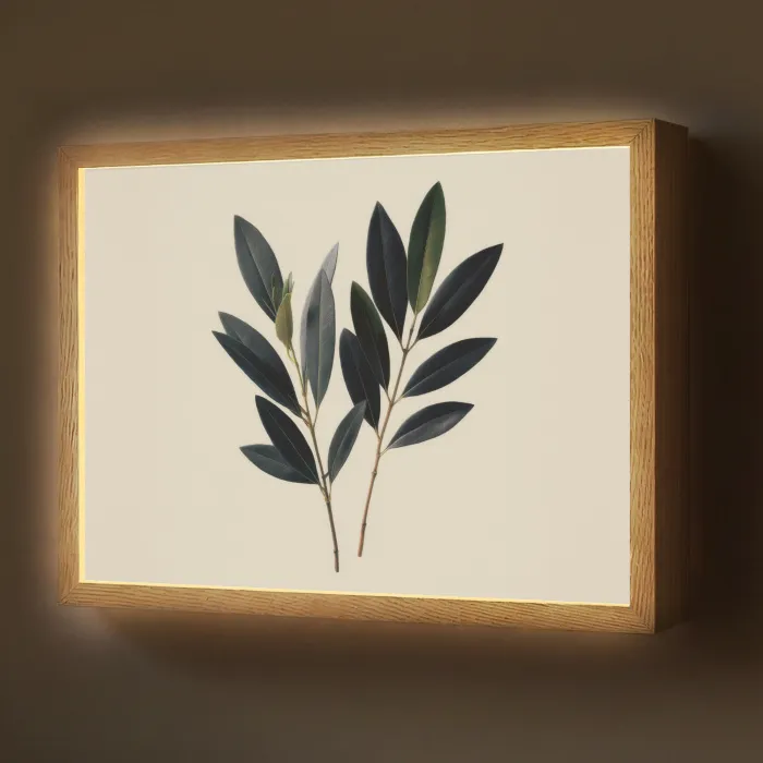 Ovaalvormige bladeren - Diep groen - Symmetrisch Light Box met batterij (Wandlamp) middel -z3d_website