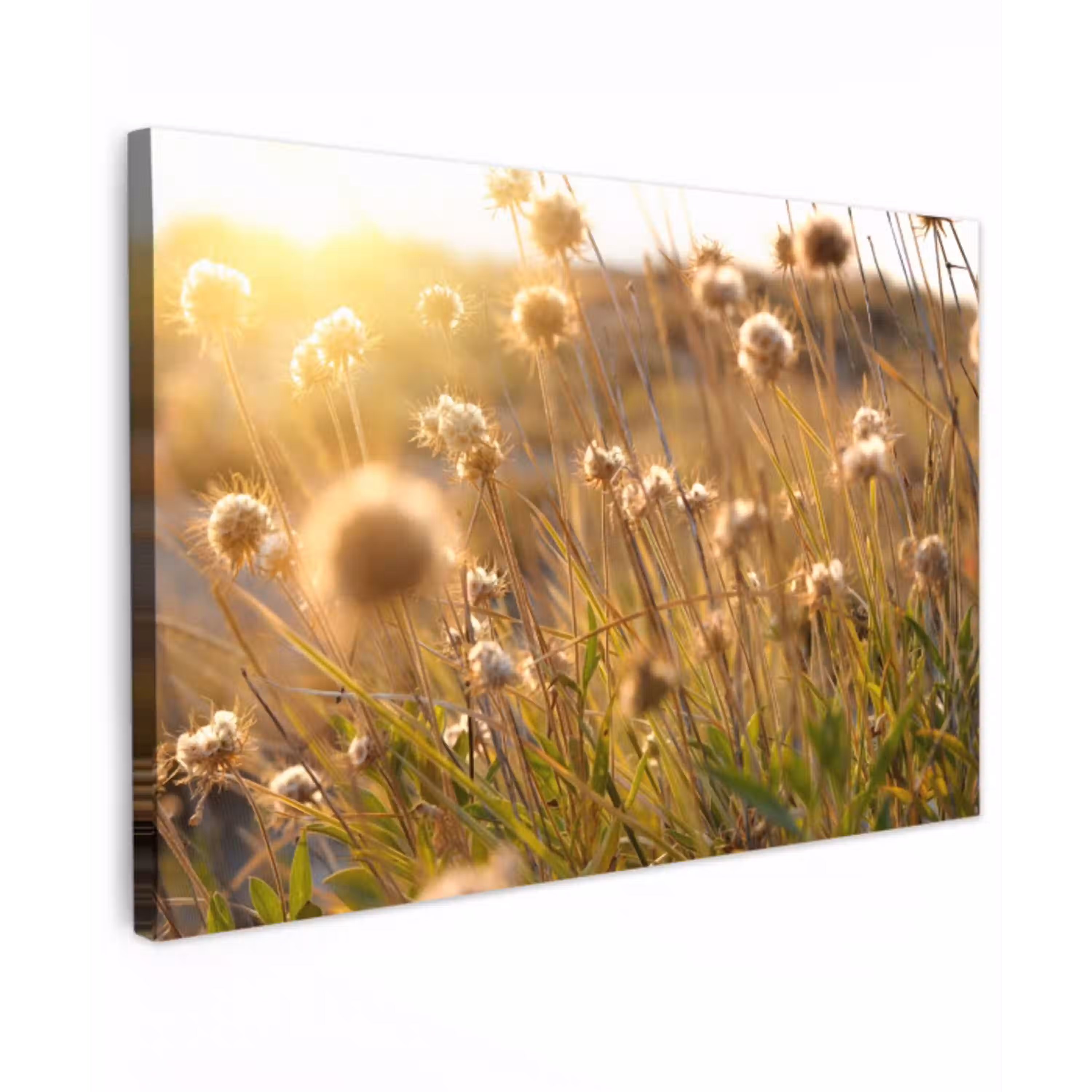 Planten - Natuur - Bloemen - Zon - Horizon Tuinposter op houten frame 2 cm dik klein -3d