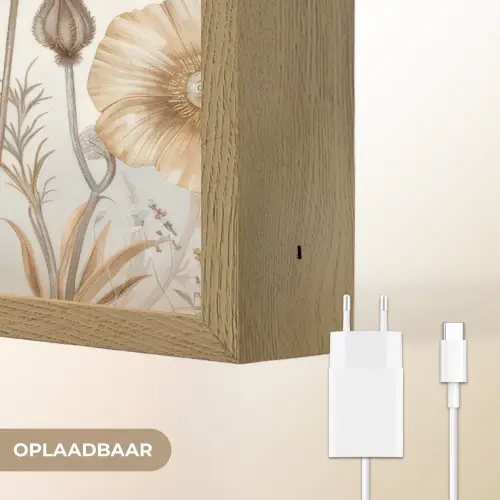 Bloemen - Beige - Natuur - Illustratie Light Box met batterij (Wandlamp) middel -USP_websiteoplaadbaarNL