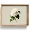 Cameliabloem - Wit - Groen Dienblad Rechthoek middel -z3d_shopping