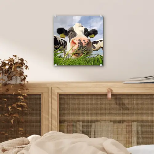 Koe - Boerderij - Gras - Dieren plexiglas 5mm klein -sfeer4