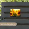Zonnebloemen in het zonlicht tuinposter los doek klein -sfeer3