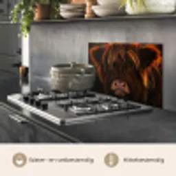 Schotse Hooglander - Koe - Portret - Dieren keuken achterwand spatscherm klein -usp_NL