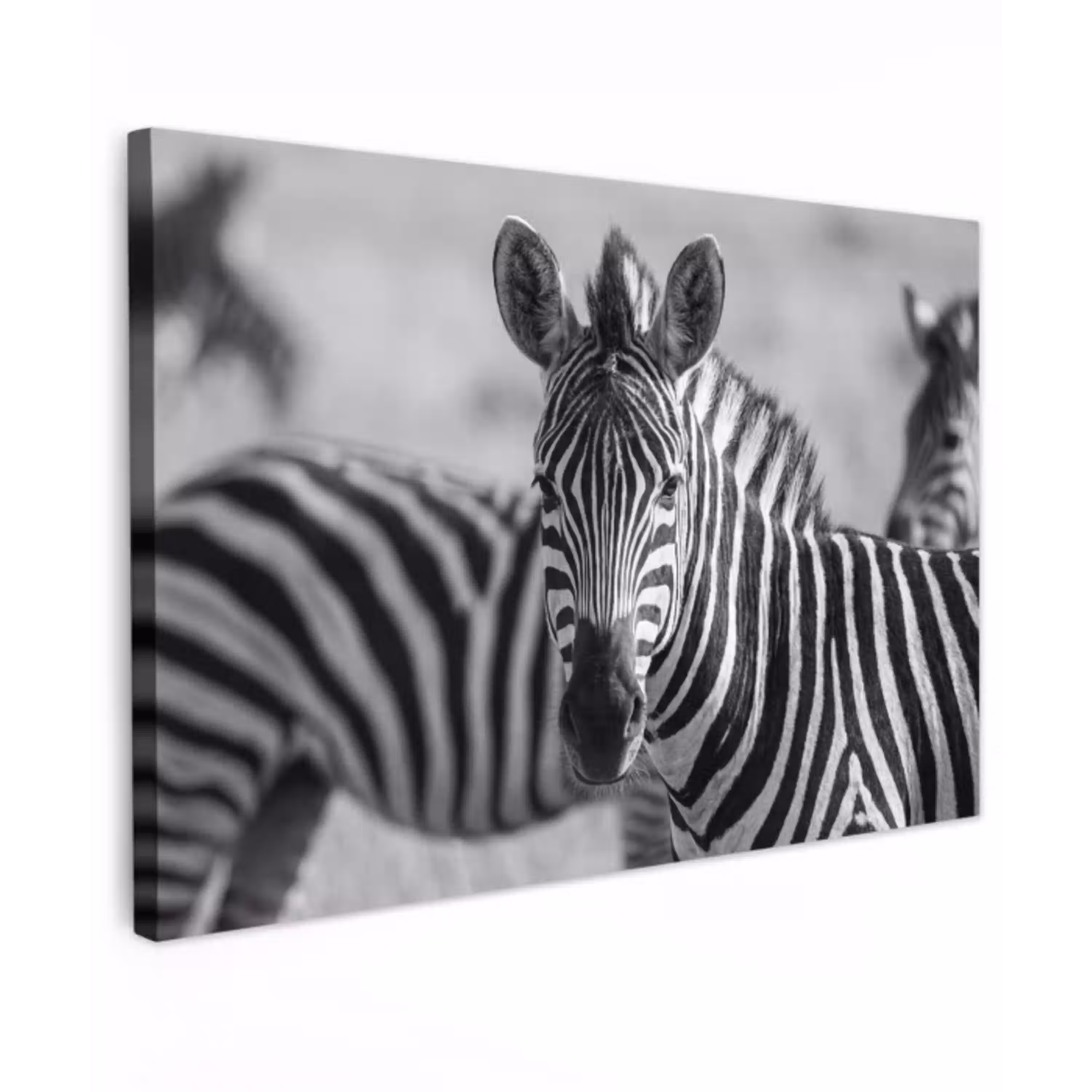 Zebra's - Zwart - Wit canvas 2cm klein -z3d