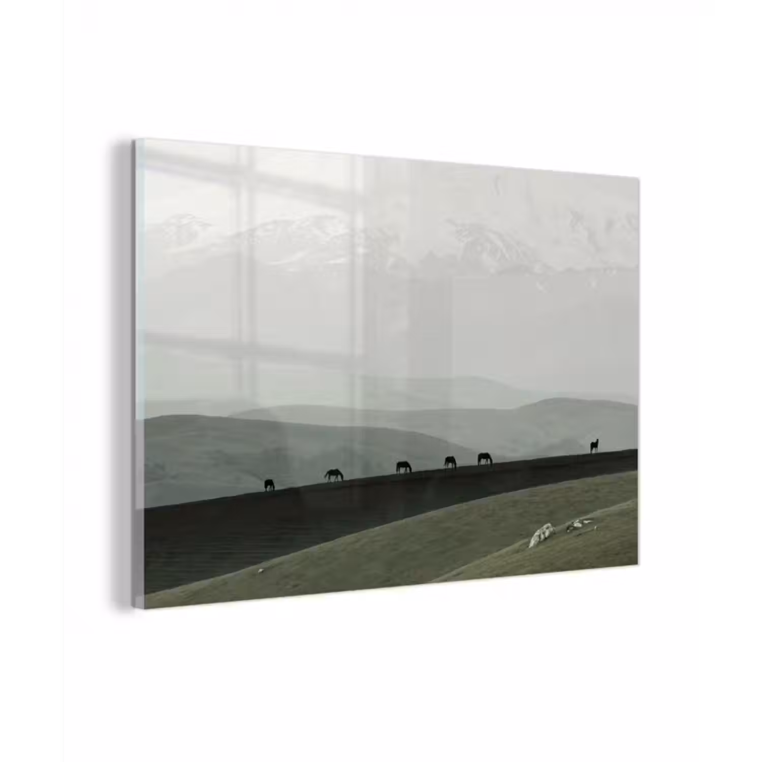 Glasbild - Grau - Berg - Pferde