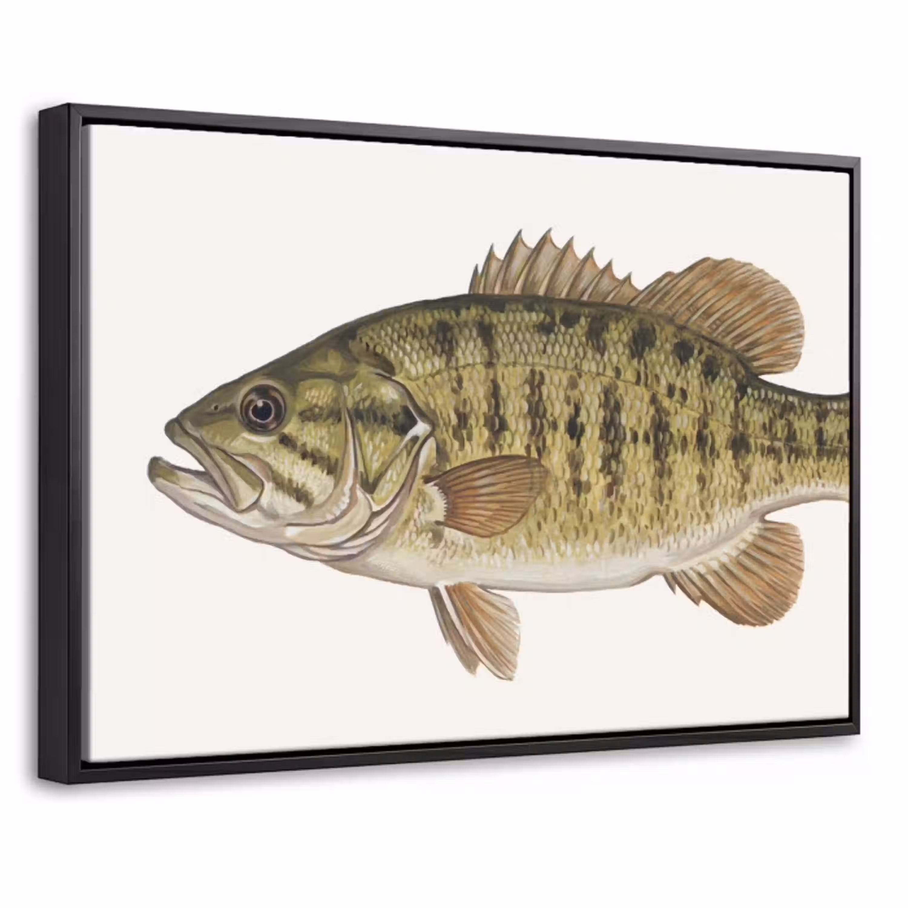 Vissen - Natuur - Vintage Canvas met baklijst klein -threedimensional_3d_global
