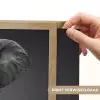 Olifant - Zwart - Wit - Rook Light Box met batterij (Wandlamp) middel -USP_websiteprintNL