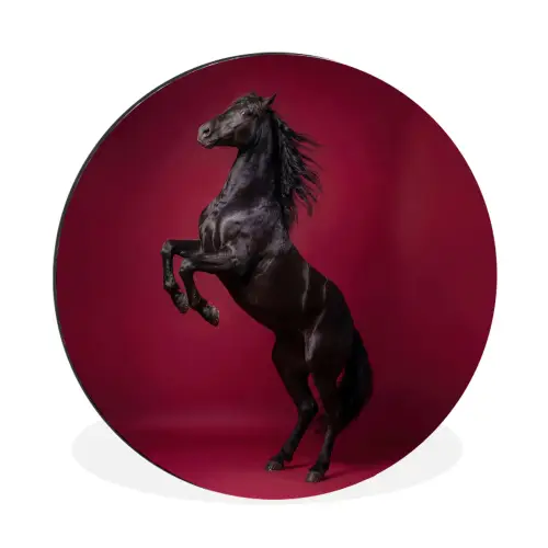 Hengst - Steigert - Rood Wandcirkel aluminium klein -3d