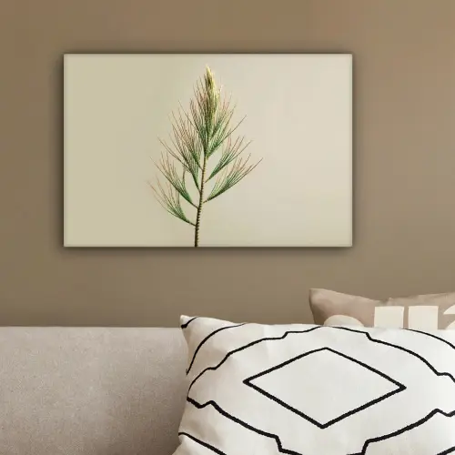 Dennentak - Naaldvormige bladeren - Lichtgroen canvas 2cm klein -sfeer3