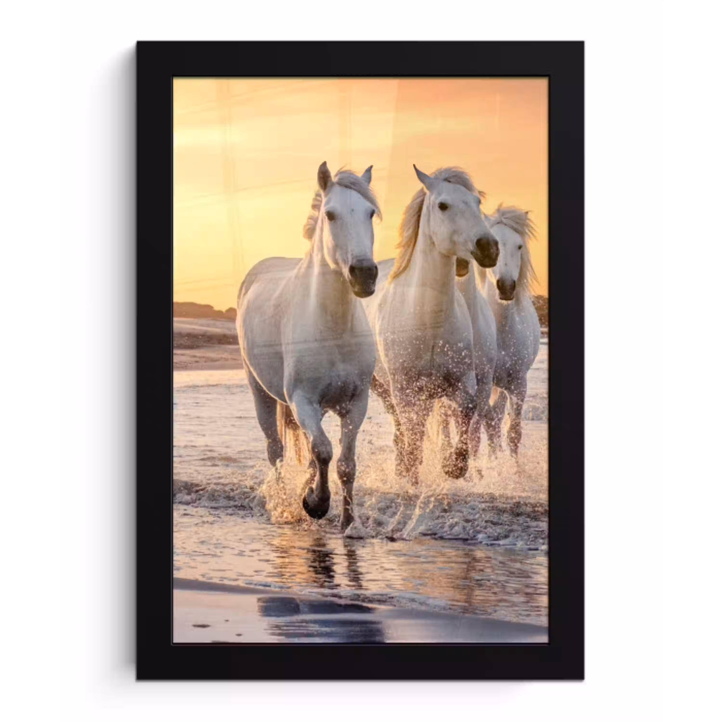 Paarden - Zon - Zee - Strand - Dieren fotolijst zwart zonder passe partout klein -3d