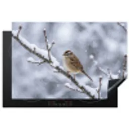 Vogel - Tak - Sneeuw - Winter Inductie beschermer vinyl 3mm klein -3d