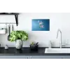 Lelies - Blauw - Glazen Muursticker klein -keuken