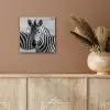 Zebra's - Zwart - Wit aluminium wit klein -sfeer4