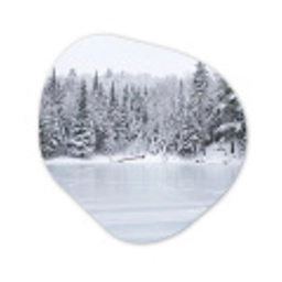 Meer - Dennen - IJs - Winter - Rustgevend Wandcirkel Organisch Forex 3mm klein -3d