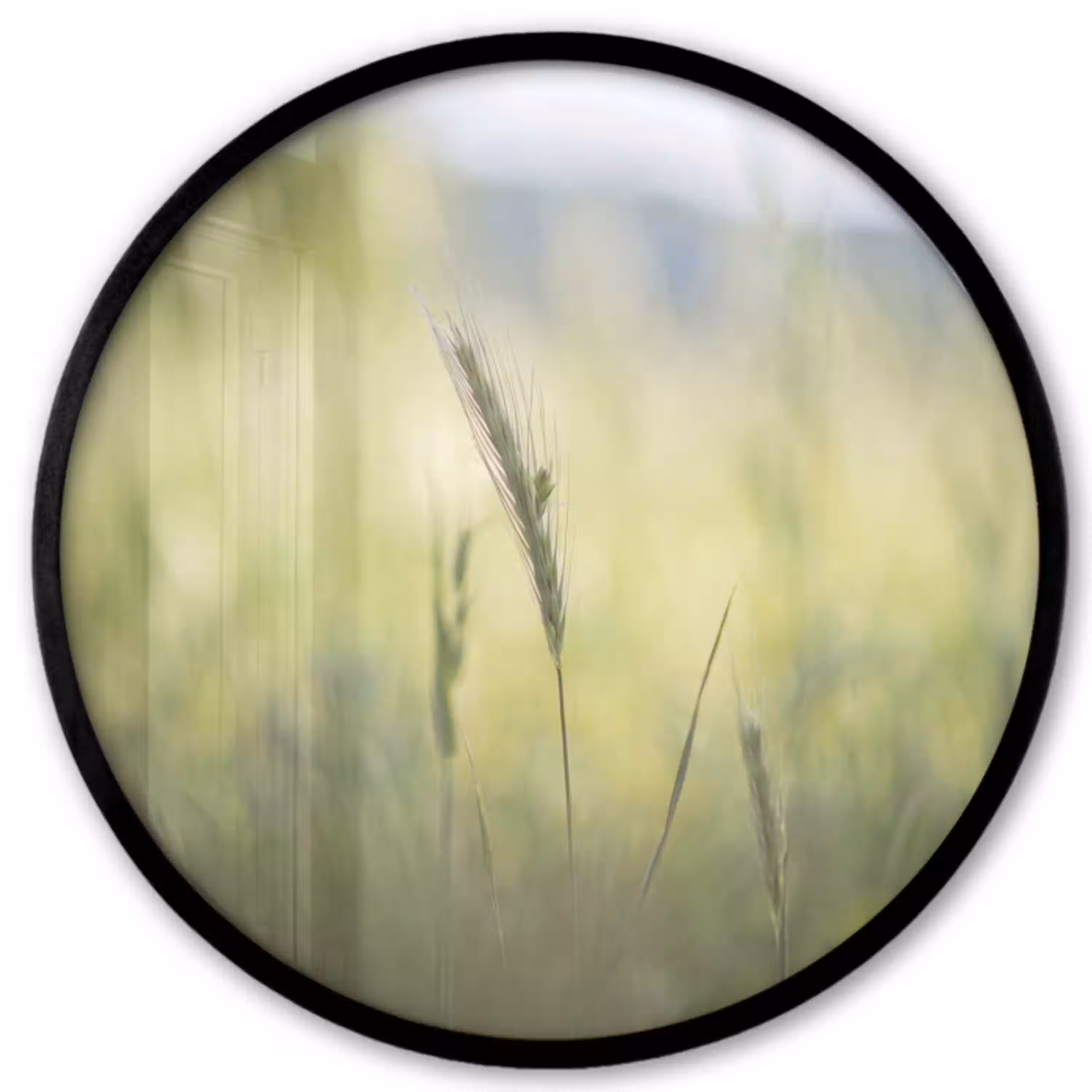 Graan - Aar - Natuur - Groen - Detail Fotolijst rond zonder passe partout klein -3d