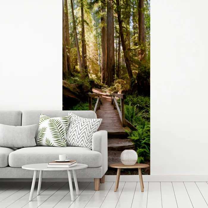 Jungle - Natuur - Trap - Bomen fotobehang vinyl groot -woonkamer