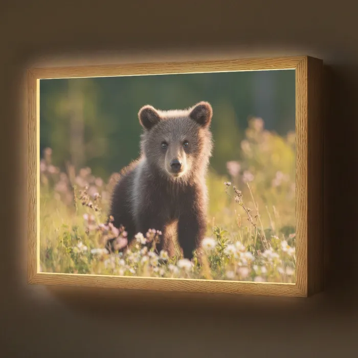 Beer - Bloemenveld - Gras Light Box met batterij (Wandlamp) middel -z3d_website