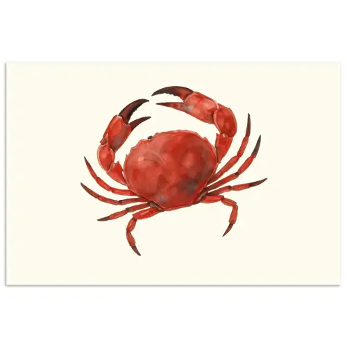 Krab - Felrood - Poten poster papier klein -3d